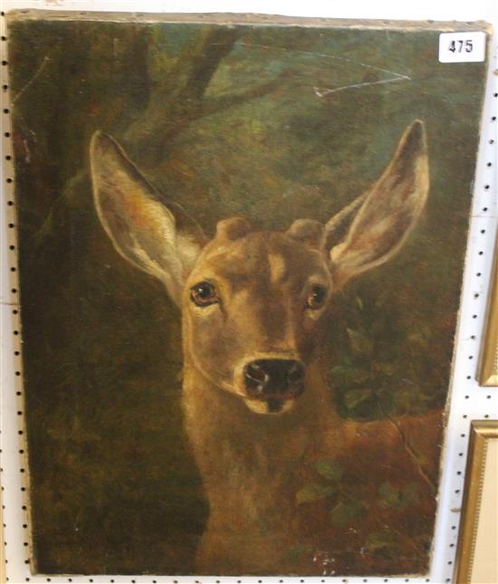 Oil on canvas, Deer